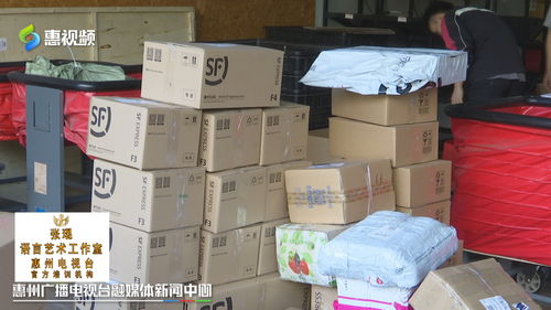 雙十一惠州網友熱衷“血拼”食品，快遞公司迎來攬件高峰